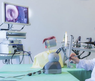 Teleoperated Tubular Continuum Robots for Transoral Surgery - Feasibility in a Porcine Larynx Model