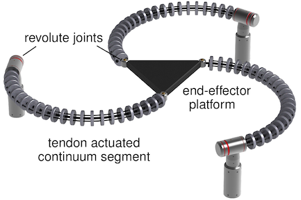 Tendon Actuated Continuous Structures in Planar Parallel Robots: A Kinematic Analysis
