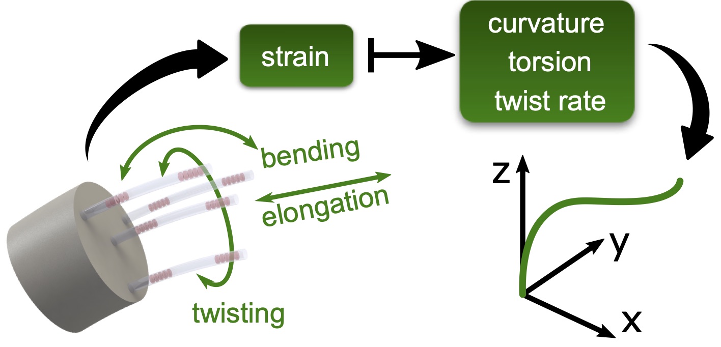 Shape Sensing Based on Longitudinal Strain Measurements Considering Elongation, Bending and Twisting