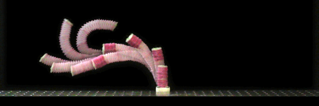 Design of Lightweight and Extensible Tendon-Driven Continuum Robots using Origami Patterns