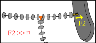 Publication Image